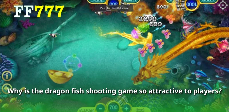 Why is the dragon fish shooting game so attractive to players?